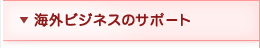 �C�O�r�W�l�X�̃T�|�[�g