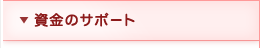 ̃T|[g