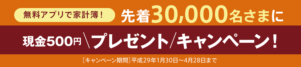 AvŉƌvI撅30,000܂Ɍ500~v[gLy[I