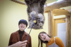 ピントロング
