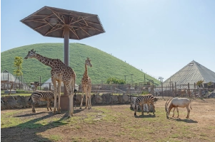 伊豆シャボテン動物公園