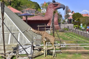 サバンナエリア