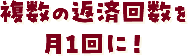 複数の返済回数を月1回に!