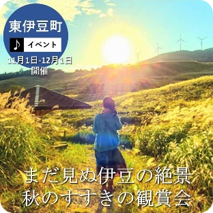 東伊豆町 まだ見ぬ伊豆の絶景 秋のすすきの鑑賞会