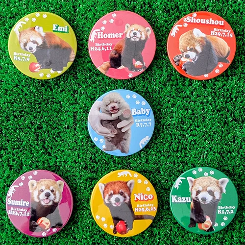 レッサーパンダ缶バッジコンプリートセット