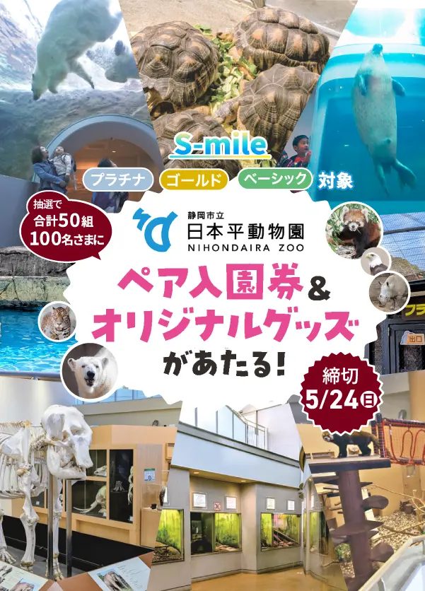 S-mile木下大サーカスのペアチケットプレゼントキャンペーン