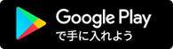 Google Store