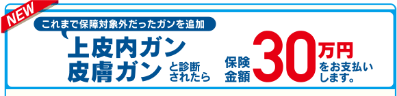 NEW これまで保障対象外だったガンを追加 上皮内ガン皮膚ガンと診断されたら保険金額30万円をお支払いします。