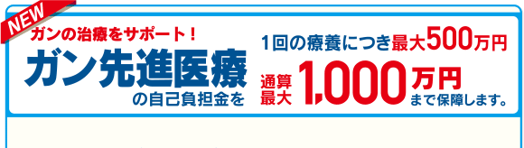 NEW ガンの治療をサポート!ガン先進医療の自己負担金を1回の療養につき最大500万円通算最大1,000万円まで保障します。