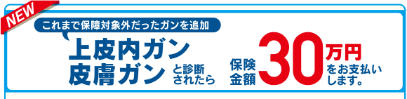NEW これまで保障対象外だったガンを追加 上皮内ガン皮膚ガンと診断されたら保険金額30万円をお支払いします。