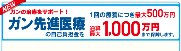 NEW ガンの治療をサポート!ガン先進医療の自己負担金を1回の療養につき最大500万円通算最大1,000万円まで保障します。