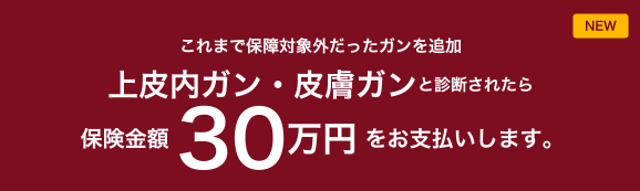 NEW これまで保障対象外だったガンを追加 上皮内ガン皮膚ガンと診断されたら保険金額30万円をお支払いします。