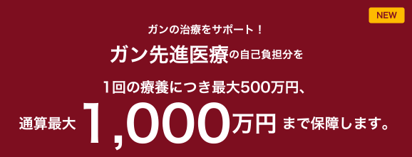 NEW ガンの治療をサポート!ガン先進医療の自己負担金を1回の療養につき最大500万円通算最大1,000万円まで保障します。