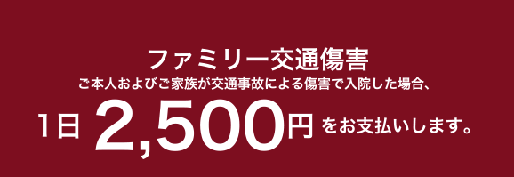 �t�@�~���[��ʏ��Q���{�l����т��Ƒ�����ʎ��̂ɂ�鏝�Q�œ��@�����ꍇ�A1��2,500�~�����x�������܂��B