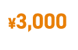 TOTAL¥3000