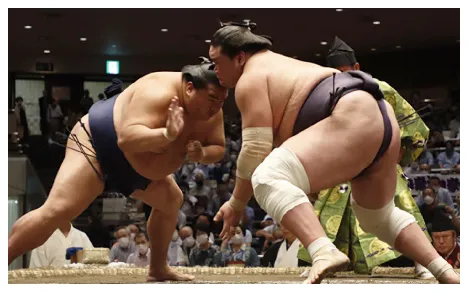 大相撲一月場所のイメージ