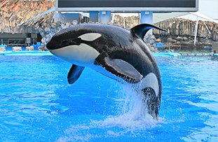 名古屋港水族館