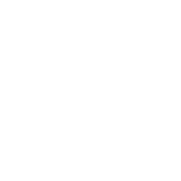 PLAY BRAND MOVIE